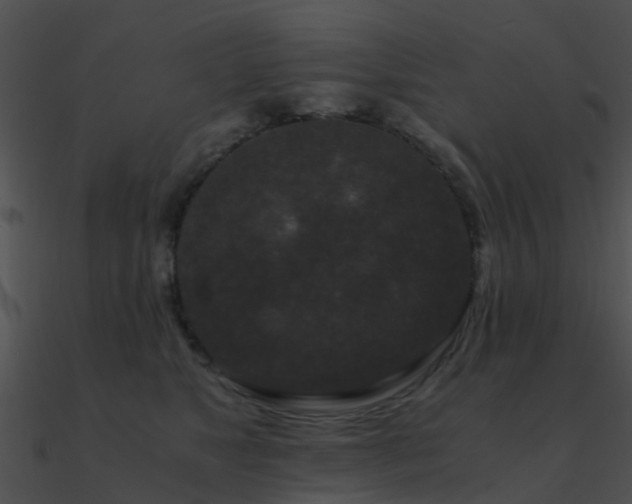 X0000090990517200708021525