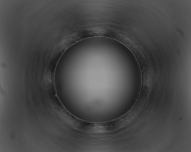 X0000090990518200708021525