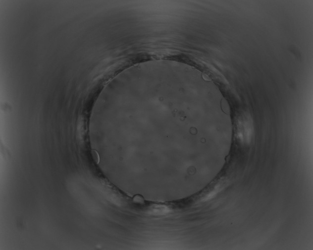 X0000090990519200708021525