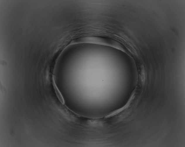X0000090990520200708021525
