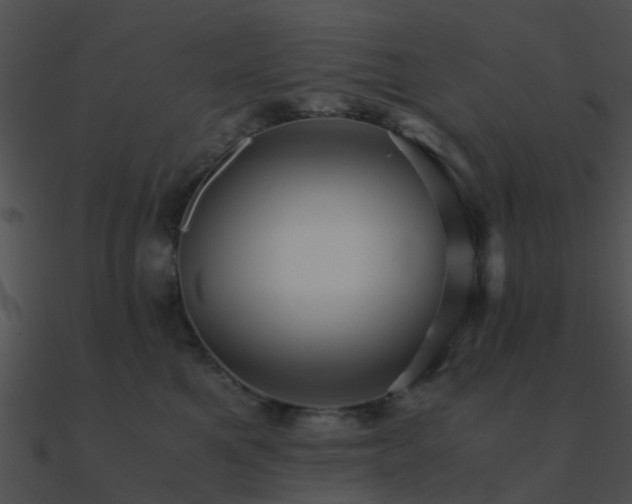 X0000090990521200708021525