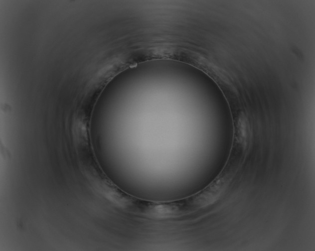 X0000090990522200708021525