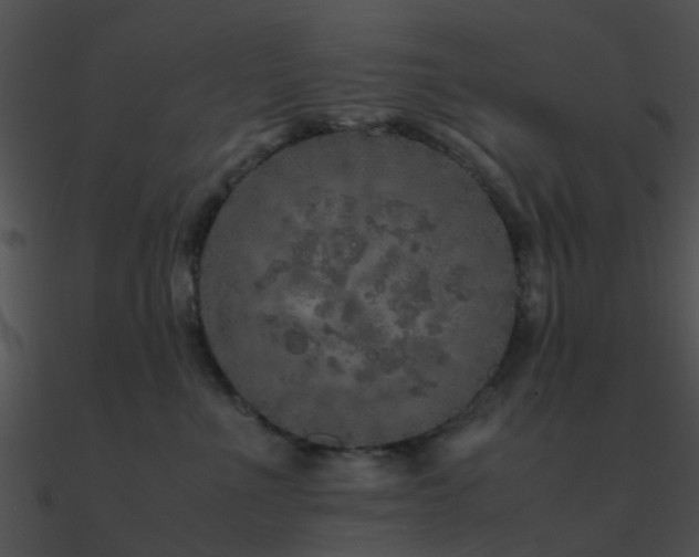 X0000090990523200708021525