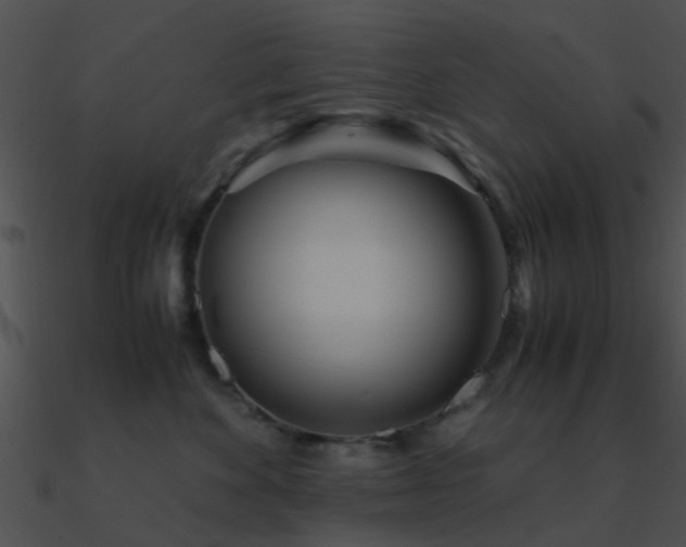 X0000090990524200708021525