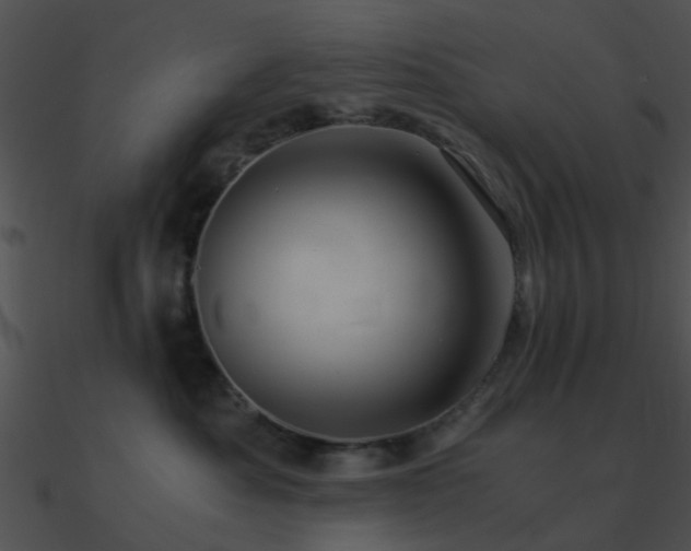 X0000090990525200708021525