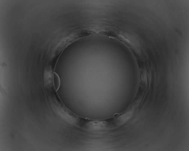 X0000090990526200708021525