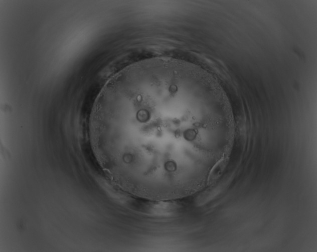 X0000090990527200708021525
