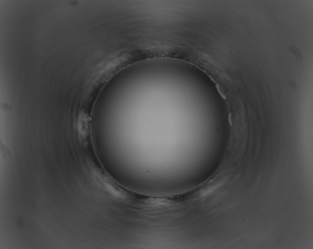 X0000090990528200708021525
