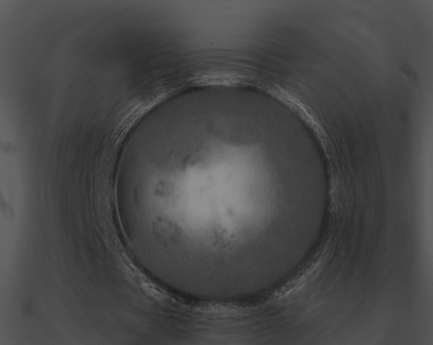X0000090990529200708021524