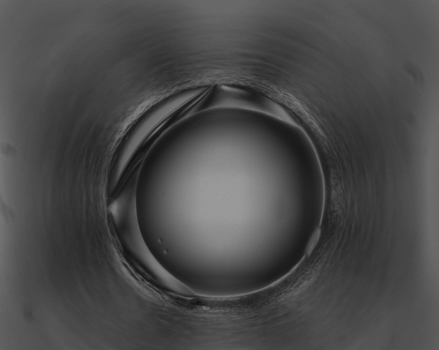 X0000090990530200708021524