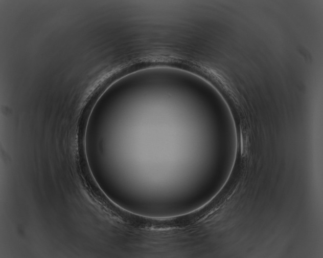 X0000090990531200708021524