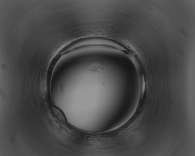 X0000090990532200708021524