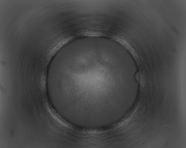 X0000090990533200708021524