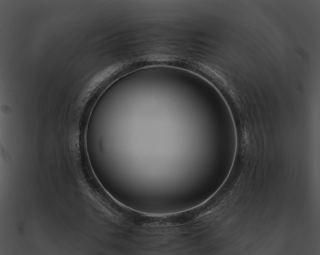 X0000090990535200708021524