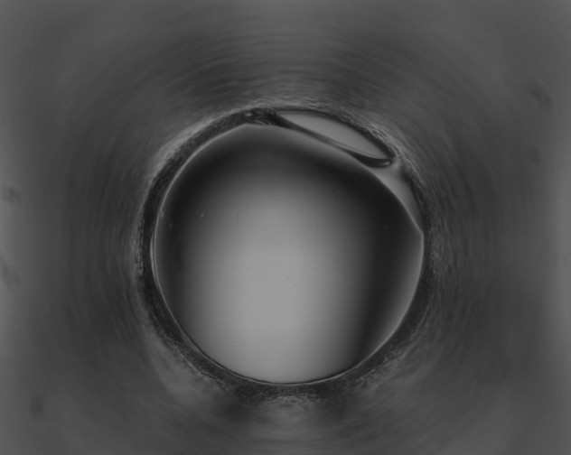 X0000090990536200708021524