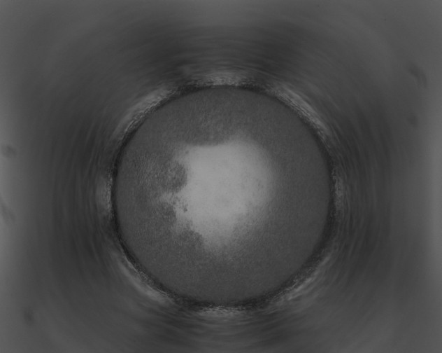X0000090990537200708021524