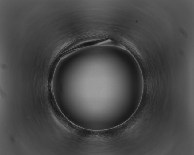 X0000090990538200708021524