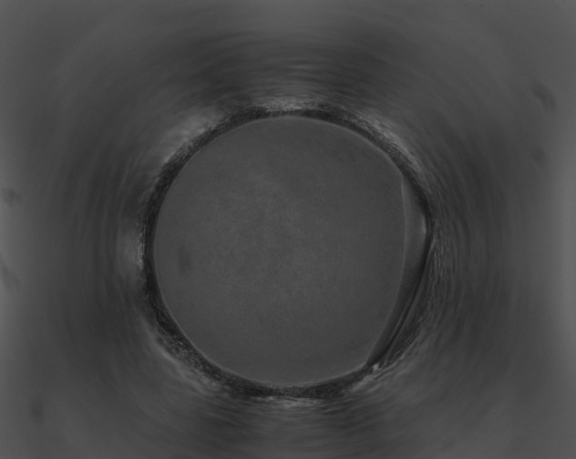 X0000090990539200708021524
