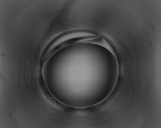 X0000090990540200708021524