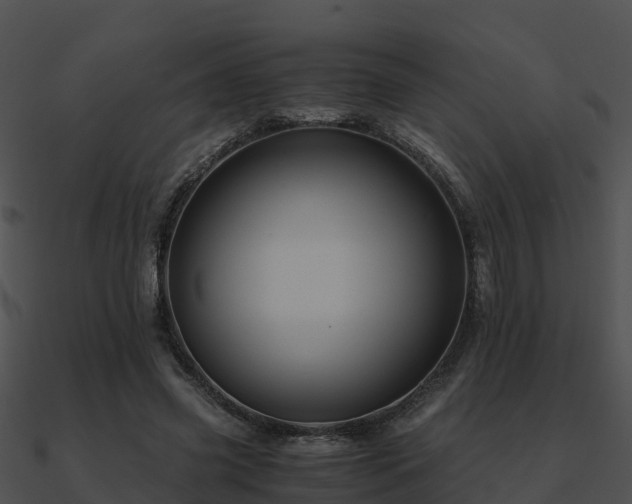 X0000090990541200708021524