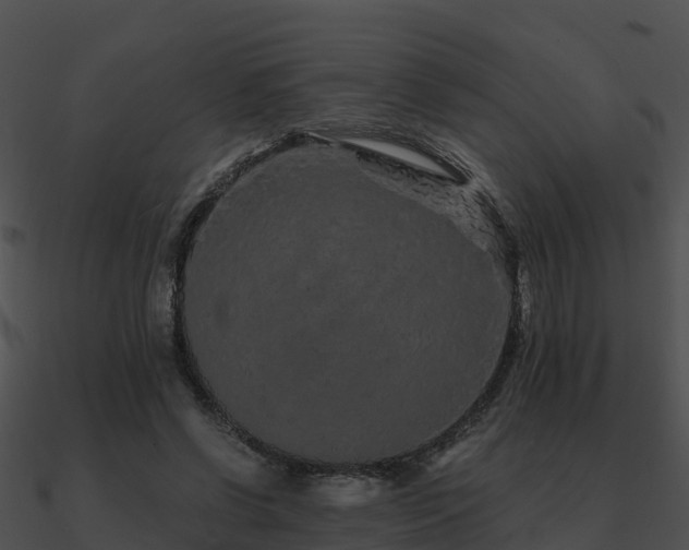 X0000090990542200708021524