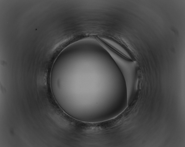 X0000090990543200708021524