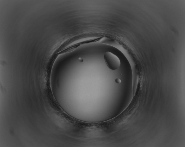 X0000090990544200708021524