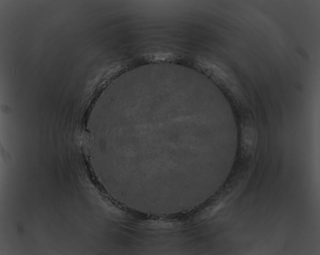 X0000090990545200708021524