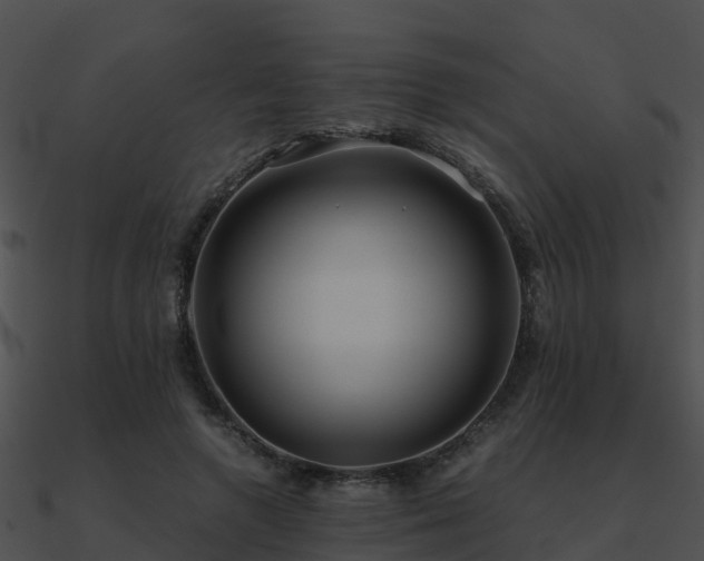 X0000090990546200708021524