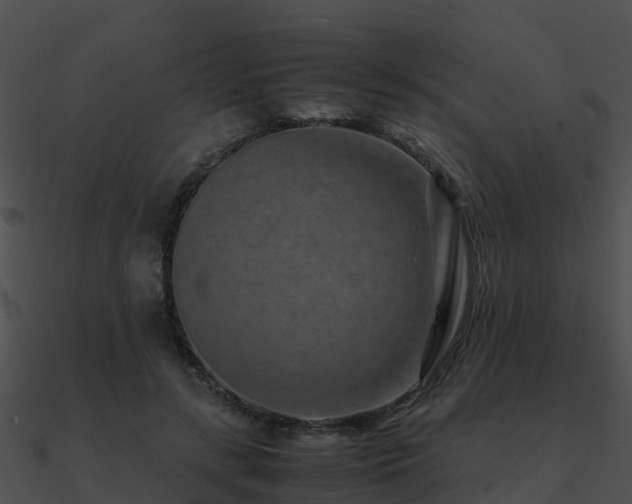 X0000090990547200708021524