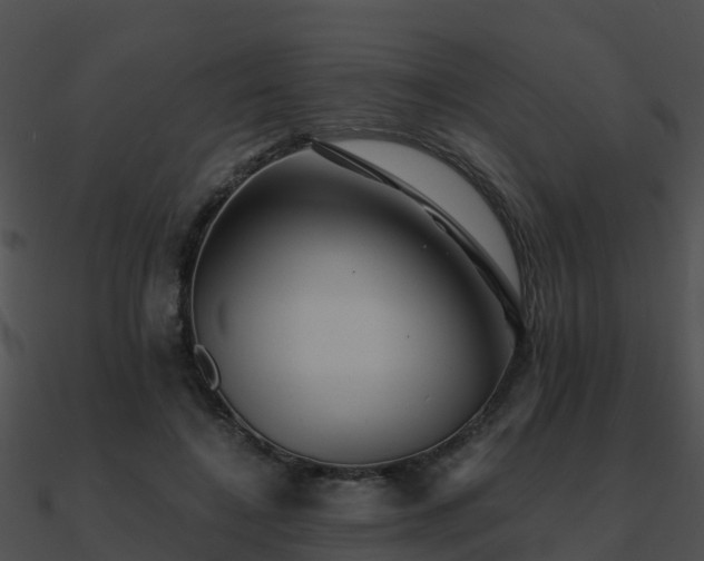 X0000090990548200708021524