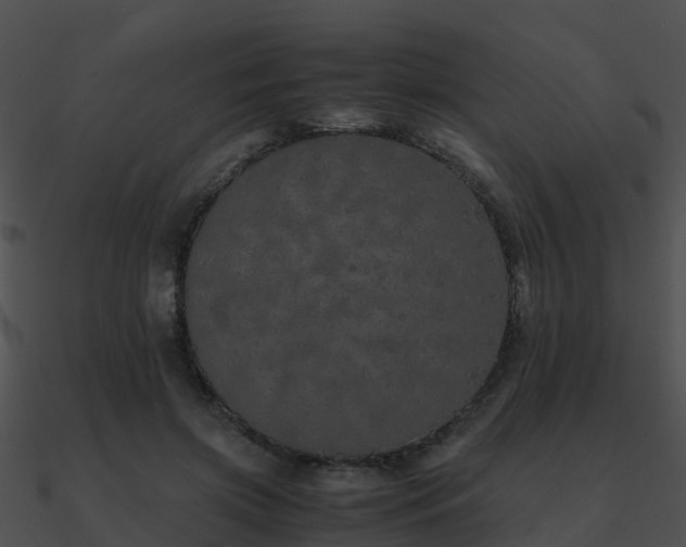 X0000090990549200708021525
