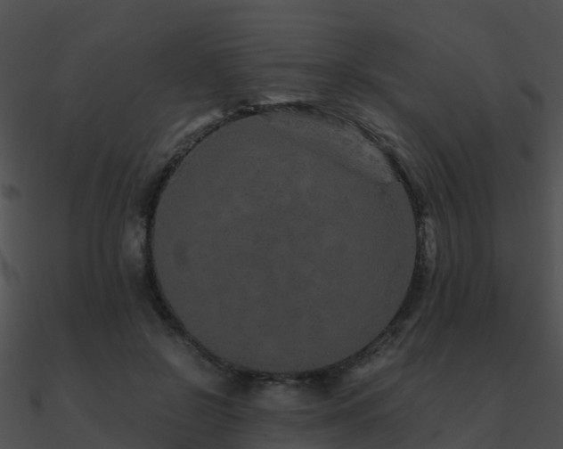 X0000090990550200708021525