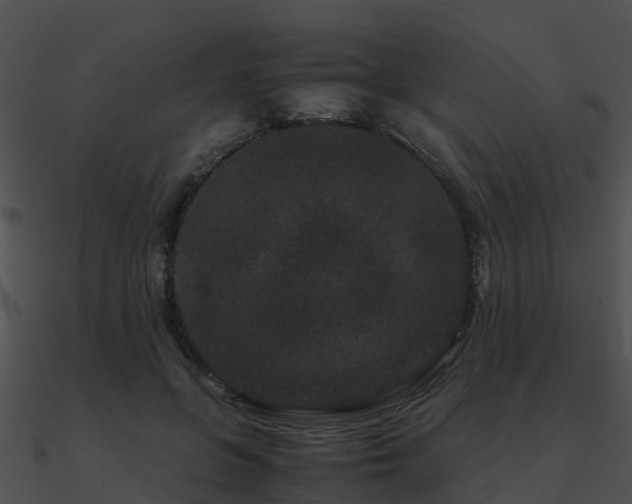 X0000090990551200708021525