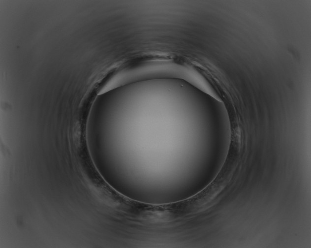 X0000090990552200708021525