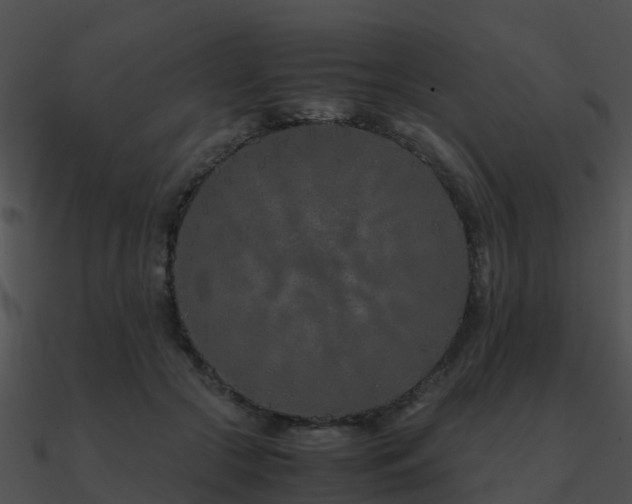 X0000090990553200708021525