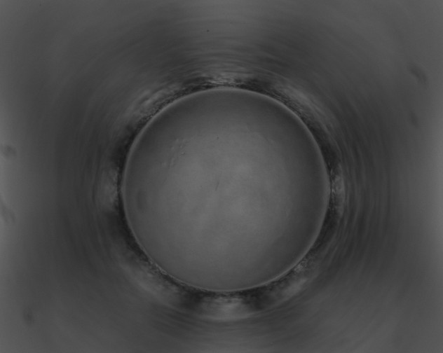 X0000090990554200708021525