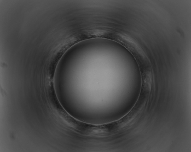 X0000090990555200708021525