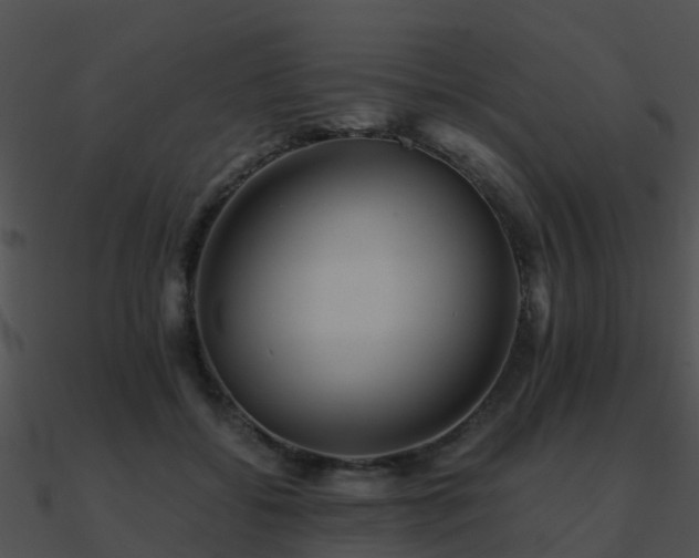 X0000090990556200708021525