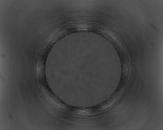 X0000090990557200708021525