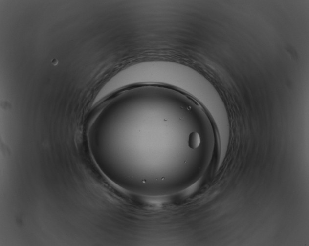 X0000090990558200708021525