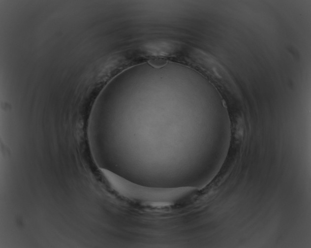 X0000090990559200708021525