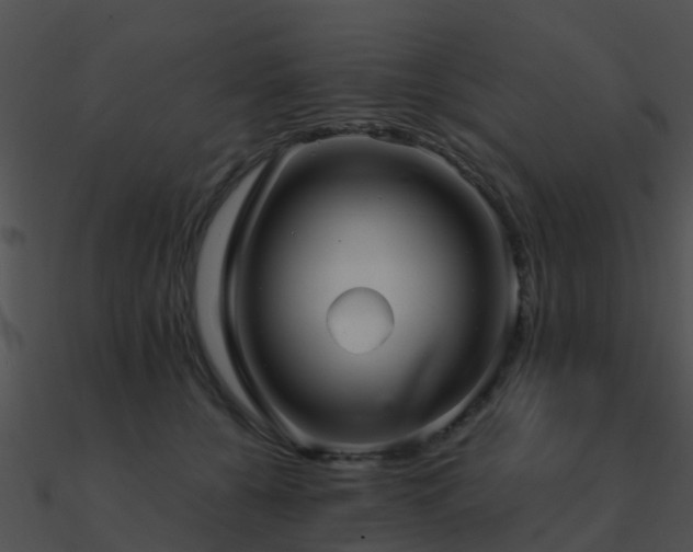 X0000090990560200708021525