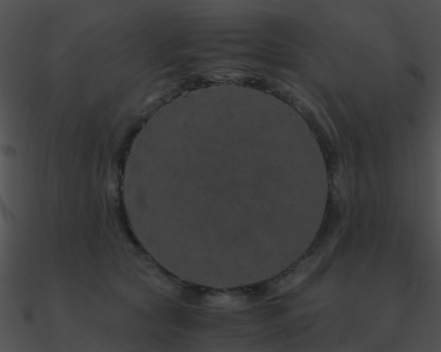 X0000090990561200708021525