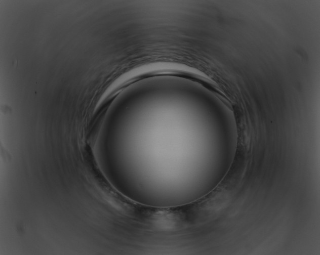 X0000090990562200708021525