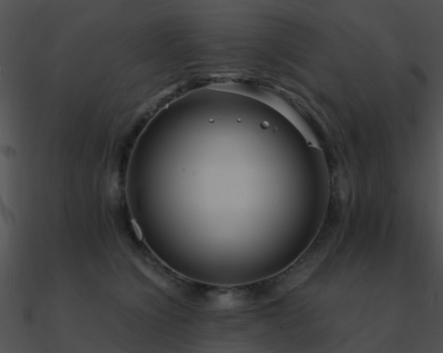 X0000090990564200708021525