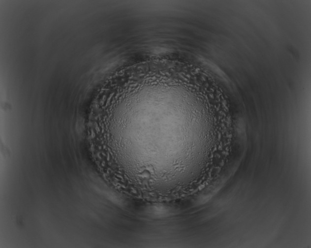 X0000090990565200708021525