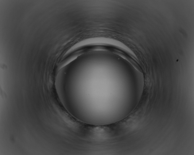 X0000090990566200708021525