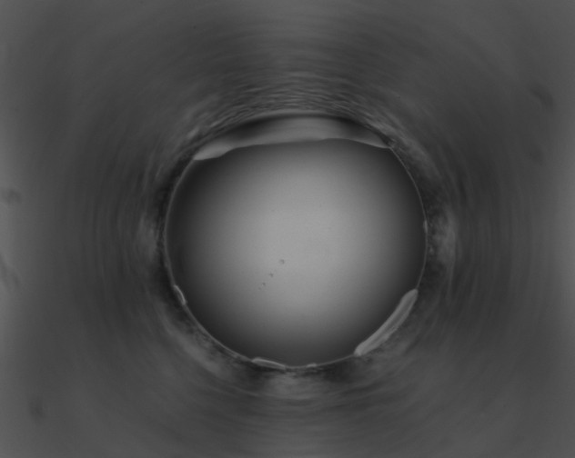 X0000090990568200708021525