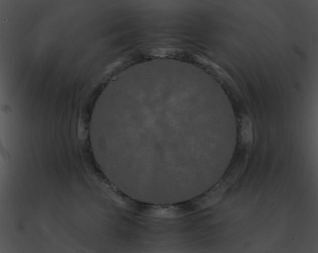 X0000090990569200708021525